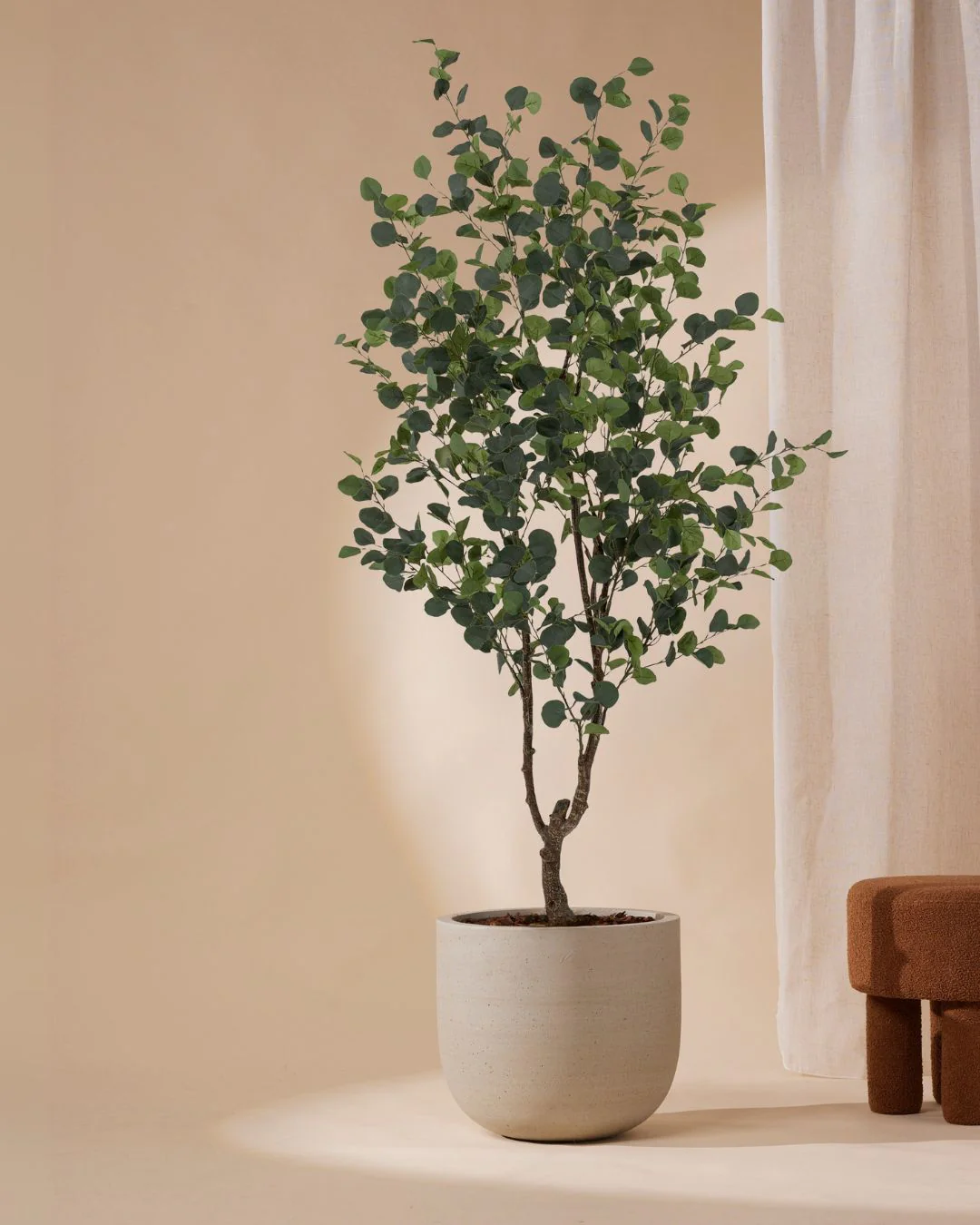 Miniatuur 2