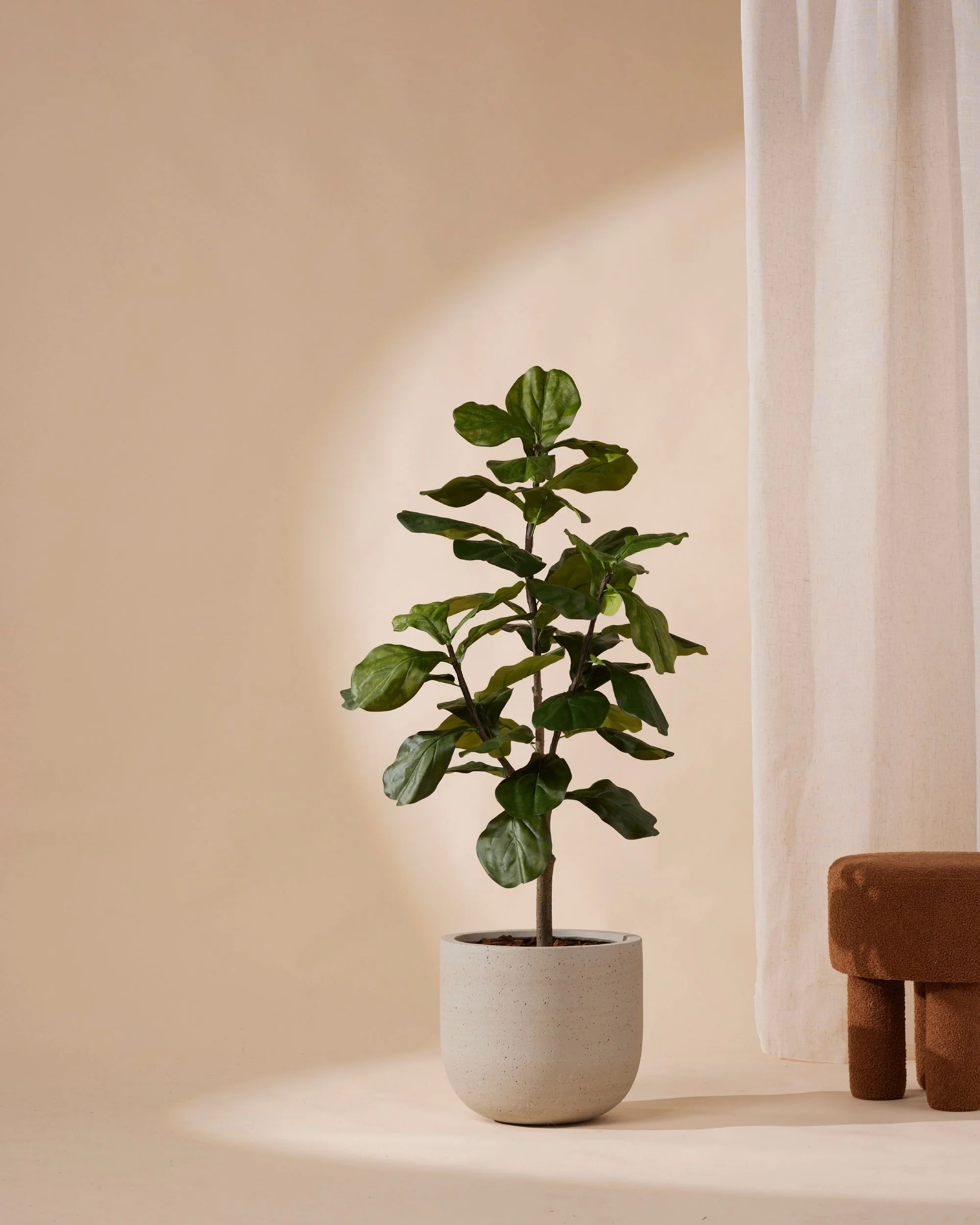 Miniatuur 1