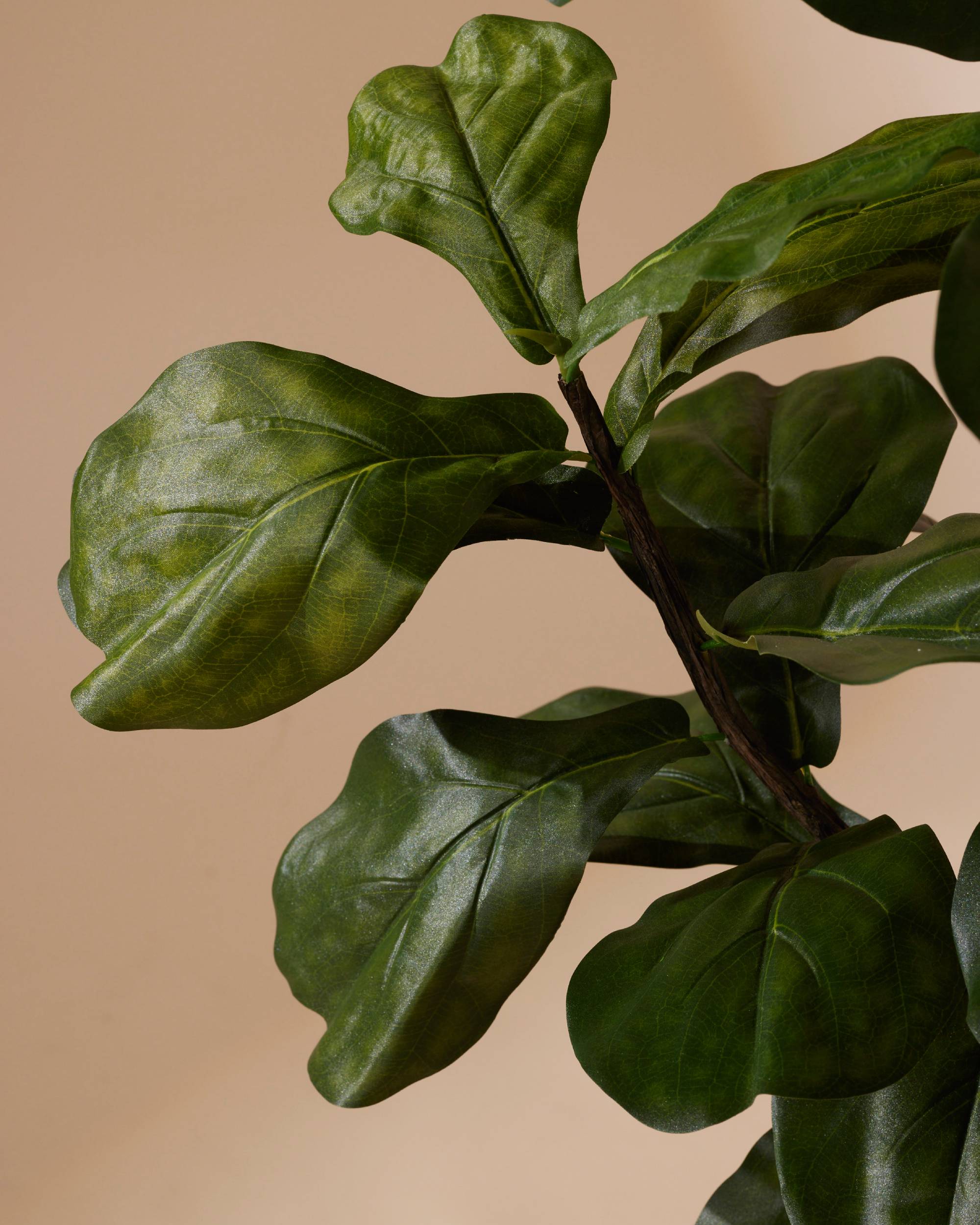 Kunstplant Ficus lyrata 120 cm - Image 4