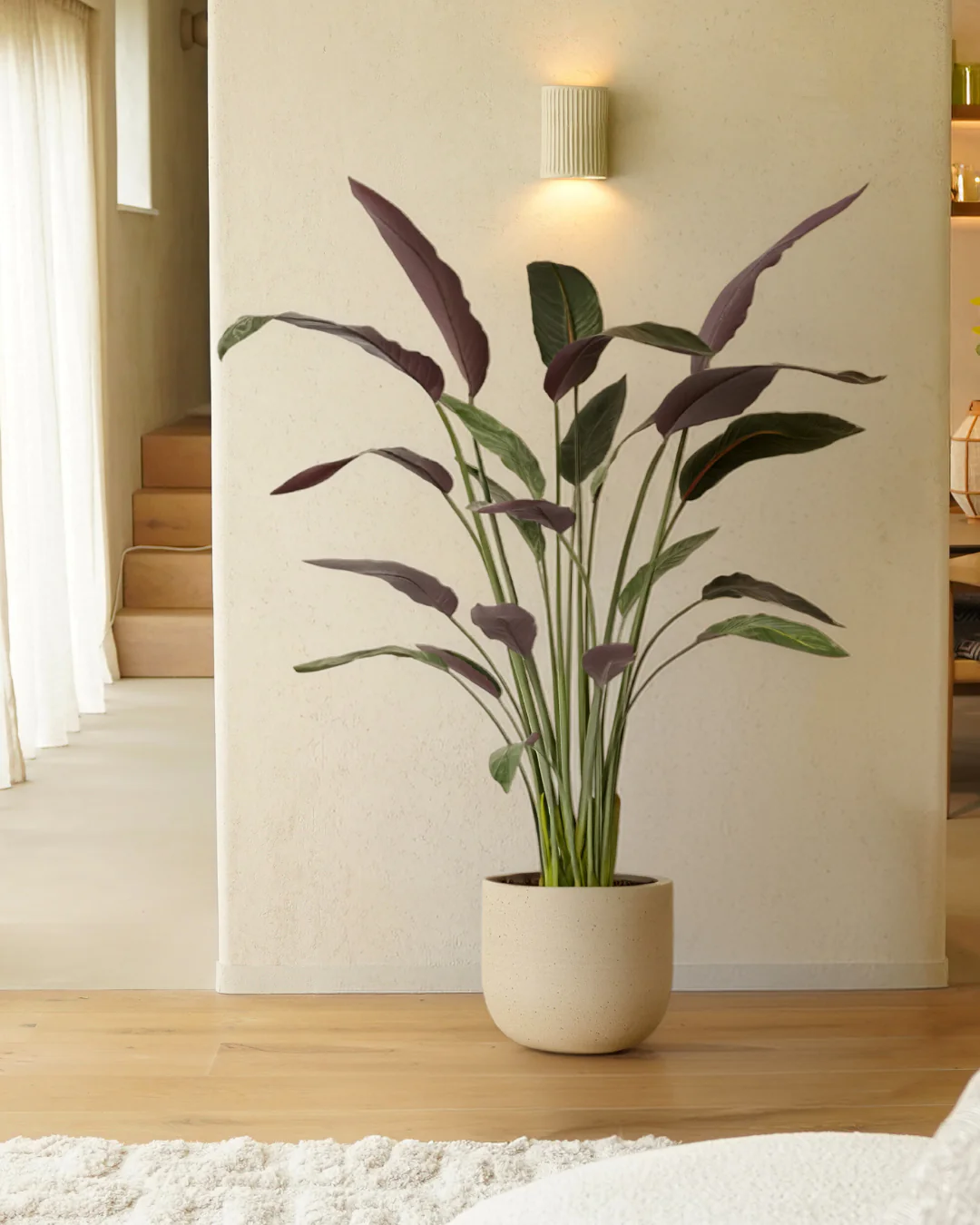 Miniatuur 2