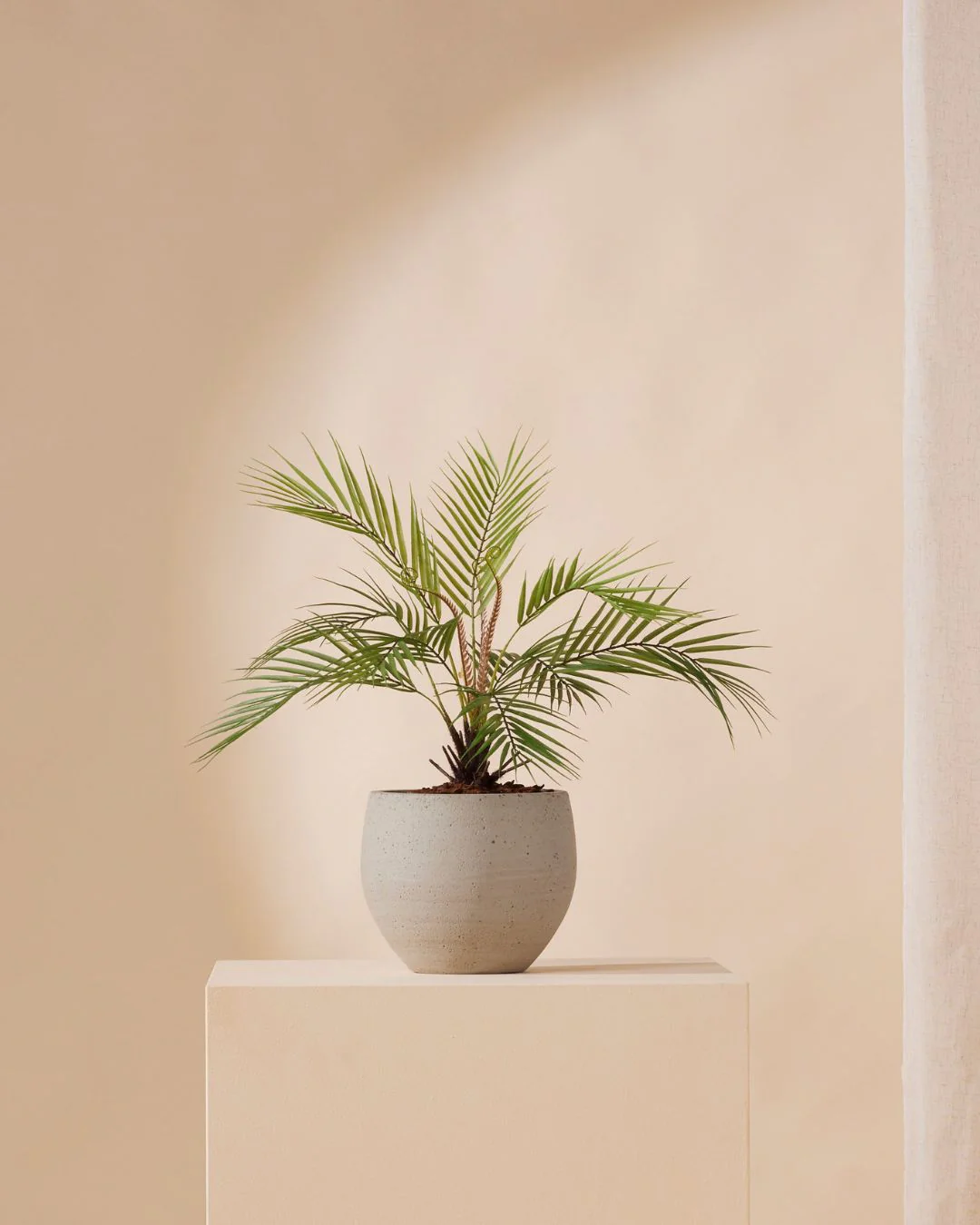 Miniatuur 1